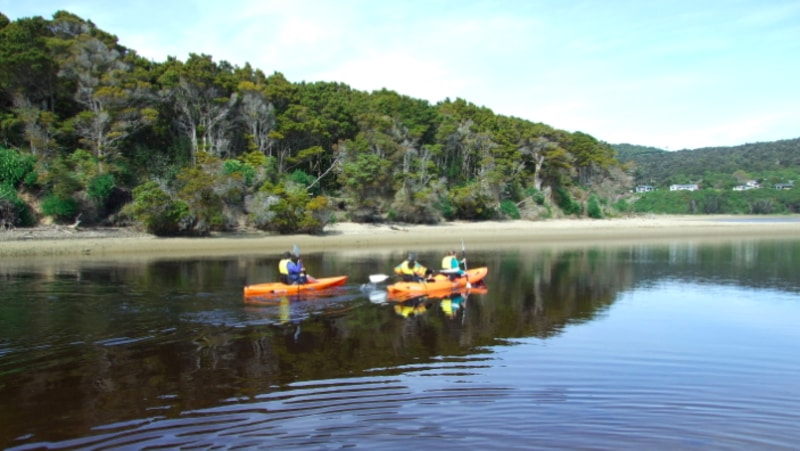 Explore a hidden gem as you hire a kayak for one or two hours and paddle through the beautiful Papatowai waters...